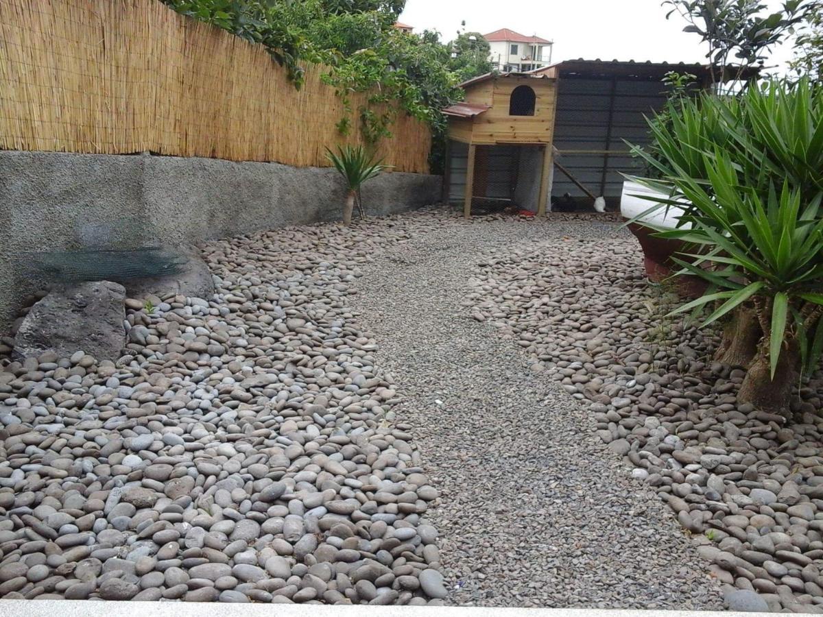 Cottage Quinze, Contemporary Designed Cottage With Swimming Pool Ponta Delgada  Exteriér fotografie